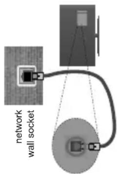 network wall socket