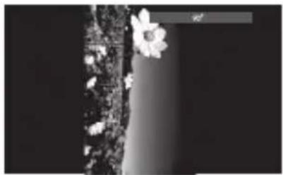 MATSUI M71PD11E - Afspilning af en cd med JPEG billeder - 3