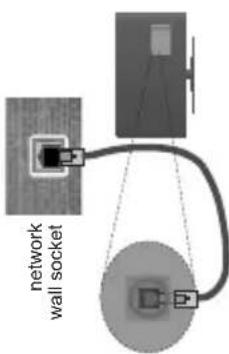 network wall socket