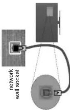 network wall socket