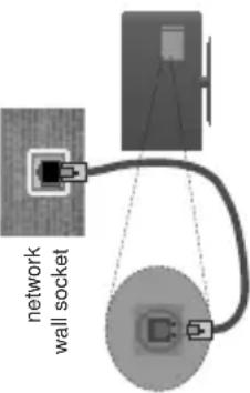 network wall socket