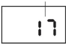 17