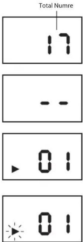 Total Numre 17 -- 01 01