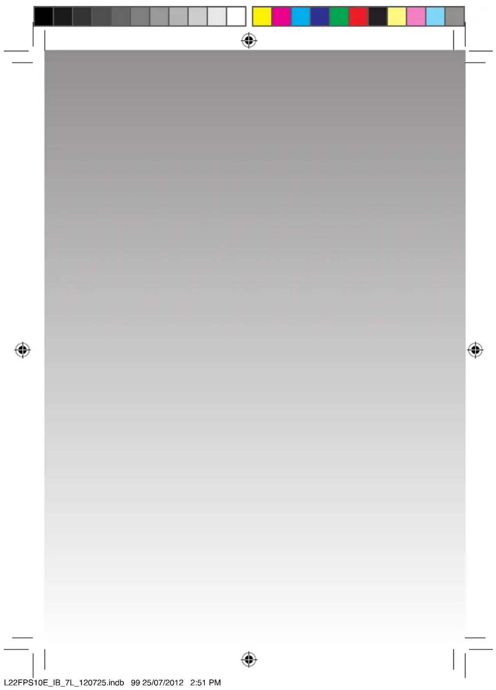 L22FPS10E_IB_7L_120725.indb 99 25/07/2012 2:51 PM