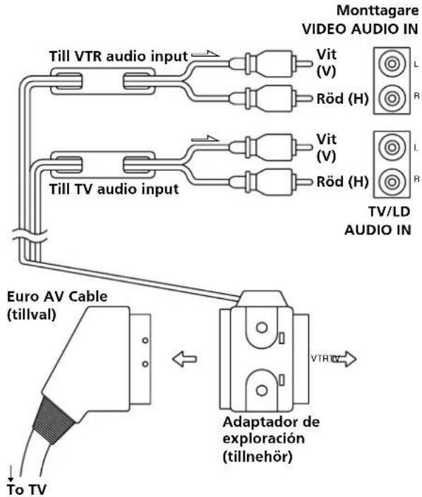 Monttagare VIDEO AUDIO IN Till VTR audio input Vit (V) Röd (H) L R Till TV audio input Vit (V) Röd (H) L R TV/LD AUDIO IN Euro AV Cable (tillval) Adaptador de exploración (tillnehör) To TV