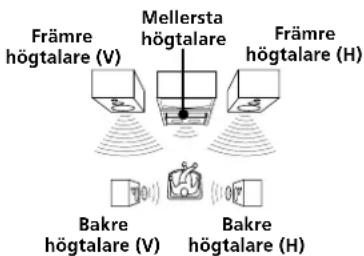 Främre högtalare (V) Mellersta högtalare Främre högtalare (H) Bakre högtalare (V) Bakre högtalare (H)