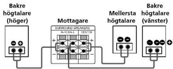 Bakre högtalare (höger) Mottagare SURROUND SPEAKERS H-REAR-L CENTER Mellersta högtalare Bakre högtalare (vänster)