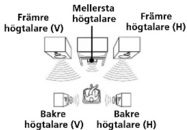 Främre högtalare (V) Mellersta högtalare Främre högtalare (H) Bakre högtalare (V) Bakre högtalare (H)
