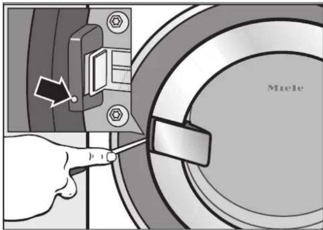 Miele