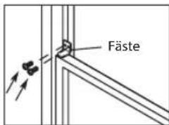 Fäste