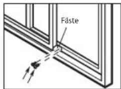 Fäste