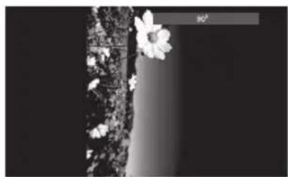 Sandstrøm S73PD11E - Afspilning af MPEG4/JPEG Billede-CD - 2