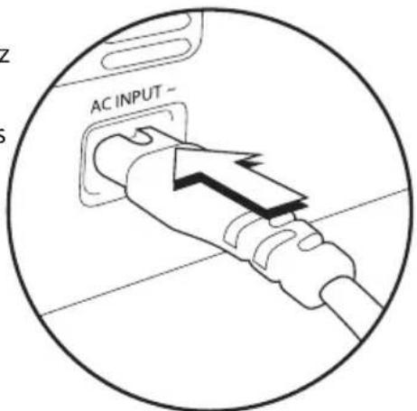 AC INPUT ~