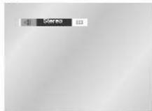 SAMSUNG DVD-CM250 - Använda AUDIO-knappen - 2