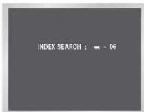 SAMSUNG DVD-CM250 - Index Skip Search - 2