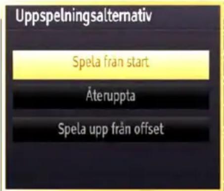 Uppspelningsalternativ Spela från start Återuppta Spela upp från offset