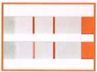 RFSU RFS-234-02 - Positivt resultat - Gravid - 1
