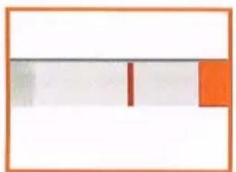 RFSU RFS-234-02 - Negativt resultat - Inte gravid - 1