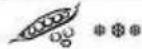 TEFAL Simply Invents VC1014 - Tefal® - 49