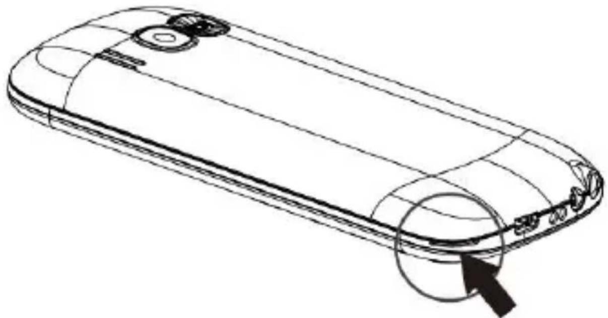 MAJESTIC TLF-Sileno 31R - Inserimento della batteria - 1