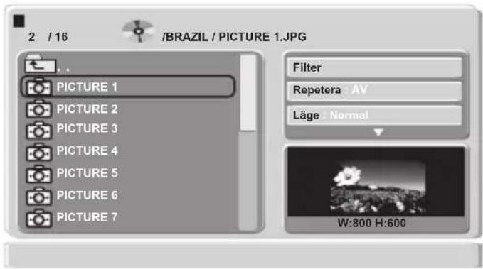2 / 16 /BRAZIL / PICTURE 1.JPG PICTURE 1 PICTURE 2 PICTURE 3 PICTURE 4 PICTURE 5 PICTURE 6 PICTURE 7 Filter Repetera : AV Läge : Normal W:800 H:600
