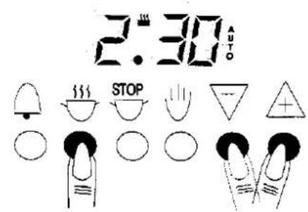 2:30 AUTO STOP