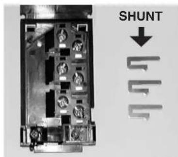 SHUNT