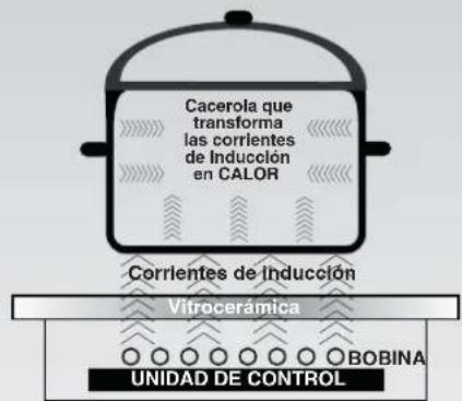 Cacerola que transforma las corrientes de Inducción en CALOR Corrientes de Inducción Vitrocerámica UNIDAD DE CONTROL BOBINA