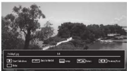 Photo.jpg File StartSunshot Auto BackToHoot rep Delete Preview/Window Help