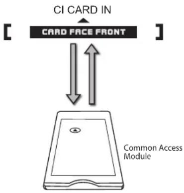 Logik L24HEDW15 - CI (Common Interface) - 1