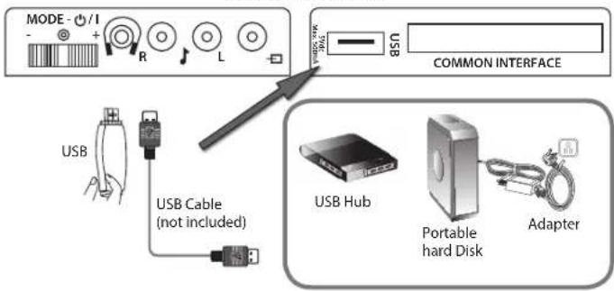 MODE - /I - + R L USB COMMON INTERFACE USB USB Cable (not included) USB Hub Portable hard Disk Adapter