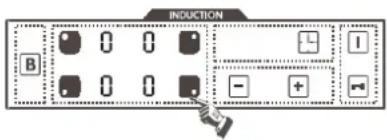 INDUCTION B 0 0 0 0 0 0 - +