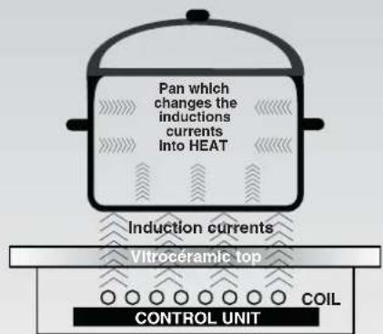 Pan which changes the inductions currents Into HEAT Induction currents Vitrocéramic top coil CONTROL UNIT