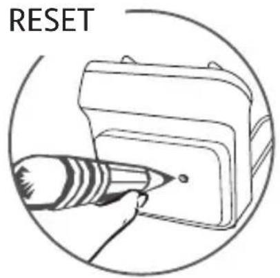 RESET