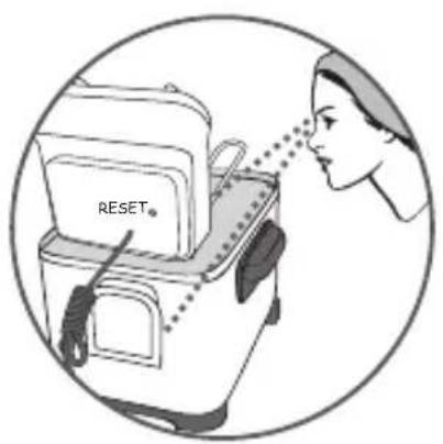 RESET