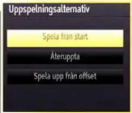 Uppspelningsalternativ Spela från start Återuppåta Spela upp från offset