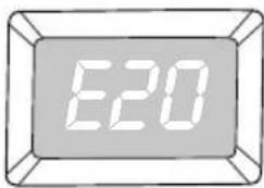 E20