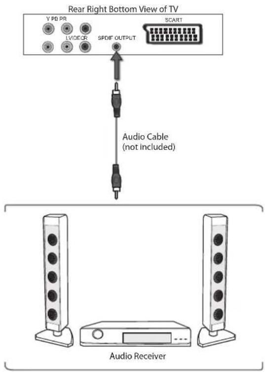 Rear Right Bottom View of TV Y PD PR LVIDCR SPDIF OUTPUT SCART Audio Cable (not included) Audio Receiver