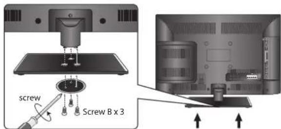 screw Screw B x 3