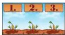 Amigo Bohnanza - Number of Bean Fields - 1