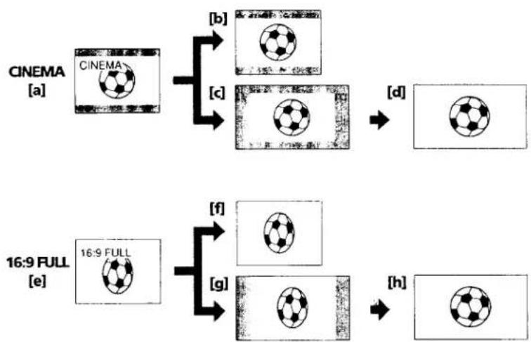 SONY CCD-TRV66 - 16:9 FULL - 1