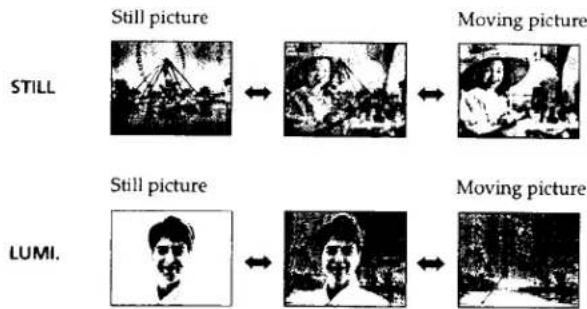 SONY CCD-TRV66 - OLD MOVIE - 1