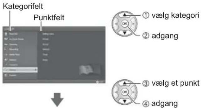 Kategorifelt Punktfelt ① vælg kategori ② adgang ③ vælg et punkt ④ adgang