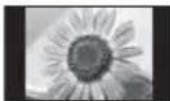 PANASONIC Viera TX-P65VT60Y - Undlad at vise stillestående dele af billedet i længere tid - 1