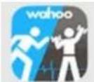 True Performance 100 - Download Wahoo's Runfit App. - 1