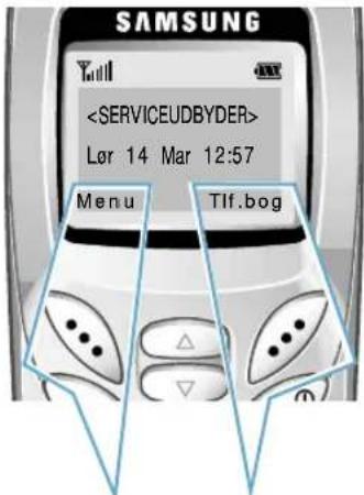 SAMSUNG SGH-R210EA - Vælge funktioner og valg - 1