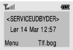 SAMSUNG SGH-R210EA - Tænde/ slukke for telefonen - 1