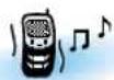 SAMSUNG SGH-R210EA - Tone - 1