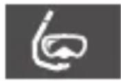 AURIOL IAN 290882 - Lista pictogramelor folosite - 5