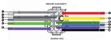 10000 20000 (insertion view)